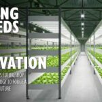 Sowing the Seeds of Innovation